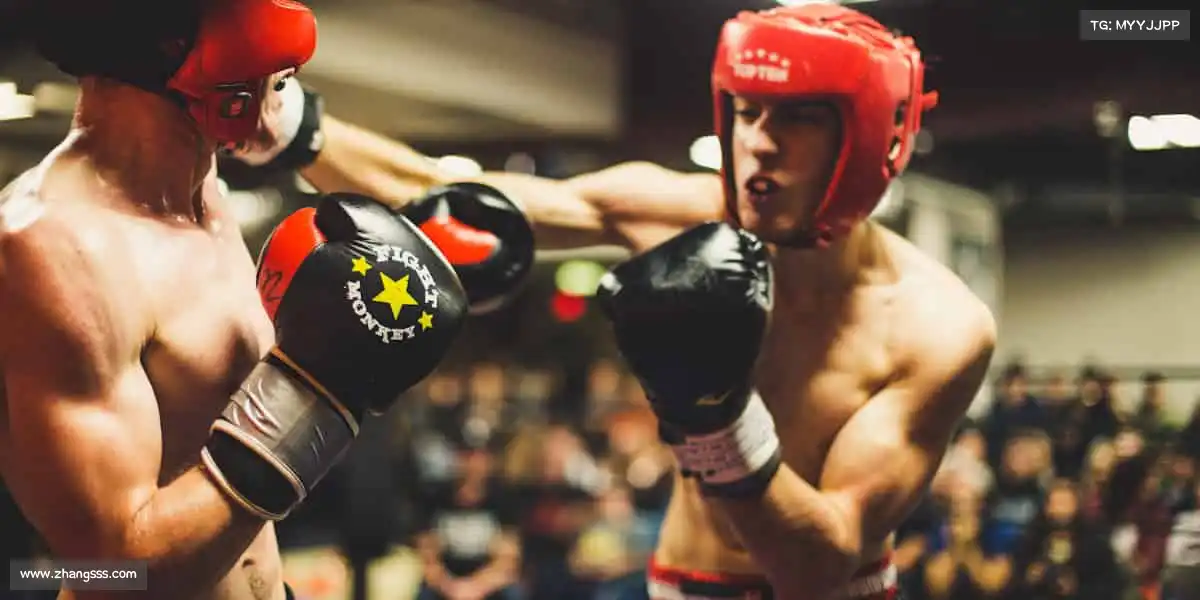 为什么选择我们